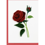 Quilled red rose with green leaves on a white card