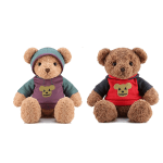 Teddy Bear in hoodie