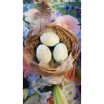 Small nest with three pale eggs and feathers on a floral background