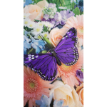  Purple Butterfly