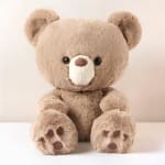 Plush teddy bear sitting against a plain background