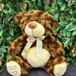 Brown teddy bear with a ribbon bow in front of leafy greenery