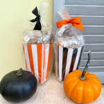 Two wrapped gift baskets with bows beside two pumpkins