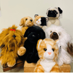 Assorted plush animal toys arranged on wooden blocks