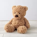 Small Plush Teddy Bear