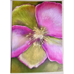 Greeting card- “Hellebore” by Alyta Milana