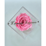 Single pink rose in a clear diamond-shaped box with gold lettering