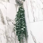 Hanging shower bundle of eucalyptus in a tiled bathroom