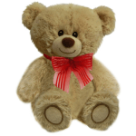 Bear Plush 