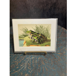 Framed print of a green frog on a stand