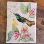 Get Well Soon Hummingbird Card