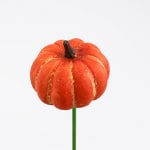 Single orange pumpkin on a green stem against a white background