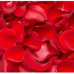 Close-up of red rose petals filling the frame