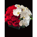 ORCHIDS AND ROSES
