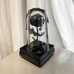 Single dark rose under a glass dome on a black box