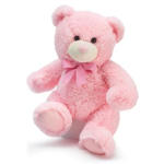Plush Pink Bear