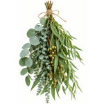 Bundle of eucalyptus and long green foliage tied with twine