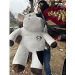 A plush cow toy is held in front of a bouquet of red roses and gold-wrapped chocolates.