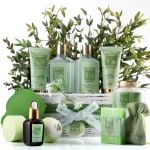 Bath gift basket with green tea tree products and eucalyptus branches