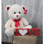 Lg Teddy Bear 