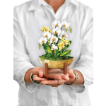 167535 Country Garden in Springfield, IL | Friday'z Flower Shop