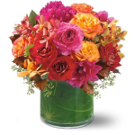 fun colorful mix
