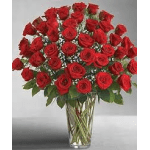 48 long stem roses
