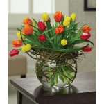 colorful tulips