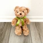 Medium Teddy Bear