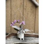 Enchanted Unicorn