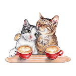 Coffee Cats BLANK Card