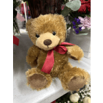 Plush Bear