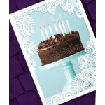 Full Size Card