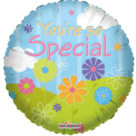 9" Airfill You're So Special Landscape Balloon