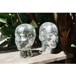 Disco Head