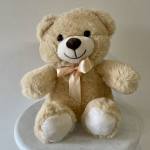 Medium Teddy Bear - (Plush May Vary)