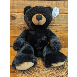 Black Bear