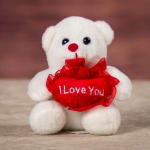 Small bear
