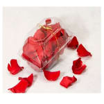 Fresh Rose Petals