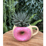 Doughnut