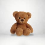 Medium Sized Bear
