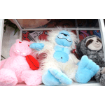 Small animals