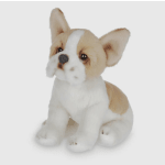 Lil frenchie