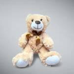 Bear M