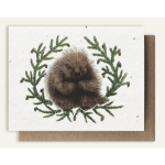 Porcupine Seed Card