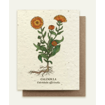 Calendula Seed Card