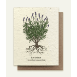 Lavender Seed Card