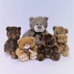 Medium Plush