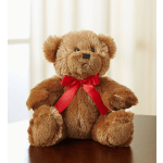 Small Teddy Bear