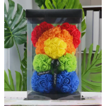 Oso de Colores